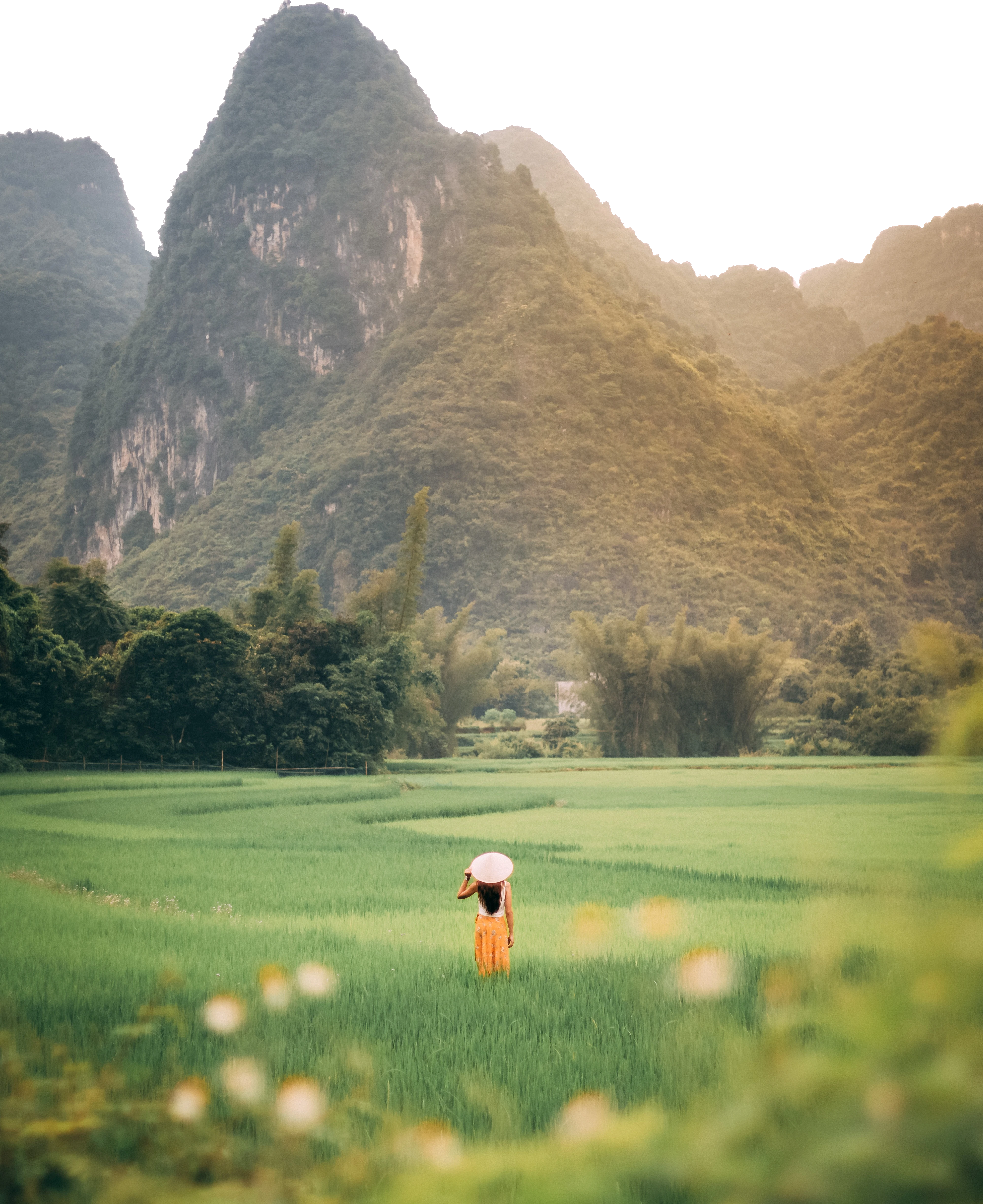 A picture of mountains with a woman in a field below